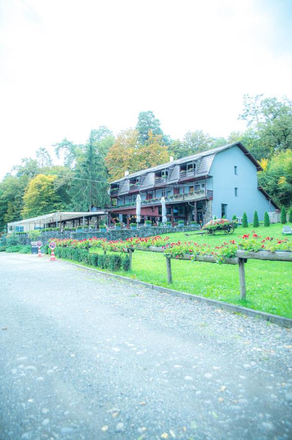 Hunter Vip Villa Reghin Exteriör bild