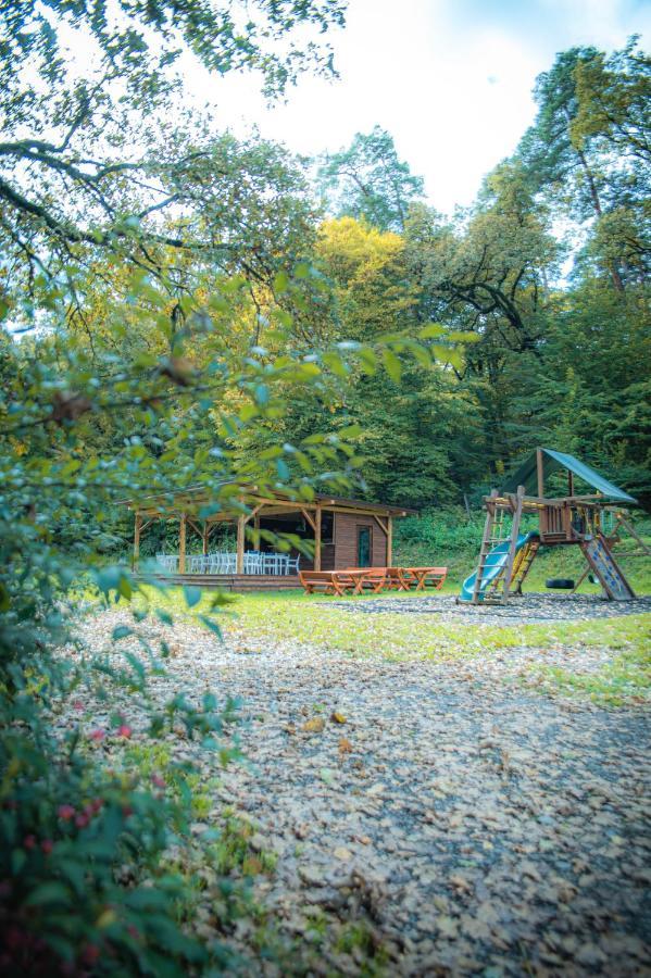 Hunter Vip Villa Reghin Exteriör bild