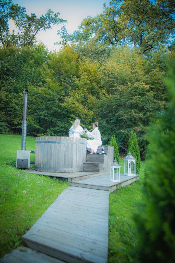 Hunter Vip Villa Reghin Exteriör bild